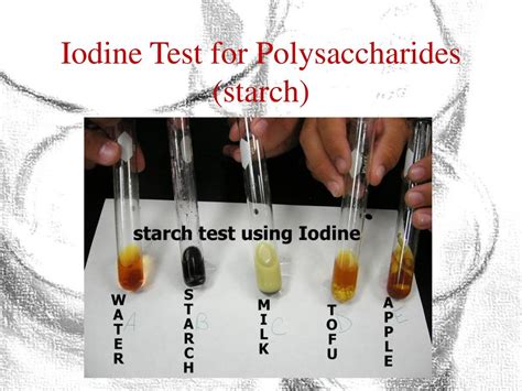 test for polysaccharides
